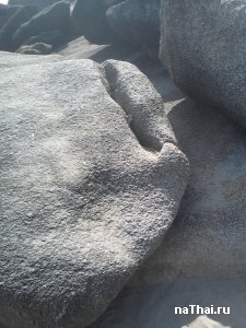 чем не бабушка?