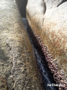 Хин Яй Самуи