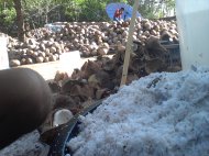 кокосовая стружка