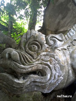 голова дракон