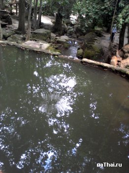 чаша перед водопадом