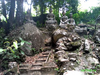 Тарним сад и водопад, Tarnim magic garden