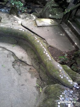 некоторые кладут монетки на змею для удачи