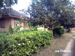 домик на самуи район биг будды
