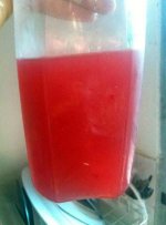 ягода антидесма