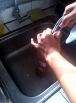 ягода антидесма