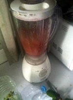 ягода антидесма