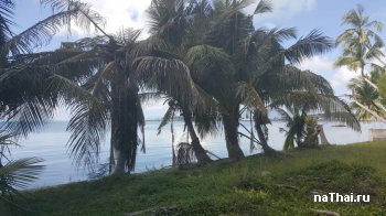 земля у моря самуи купить