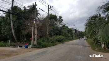 купить землю на самуи для бизнеса