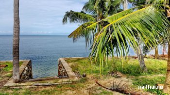 купить землю на Самуи